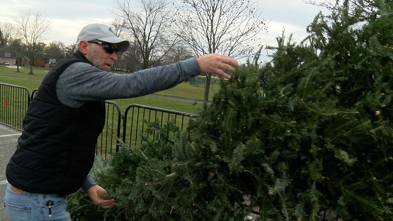 tree recycling 2.jpg