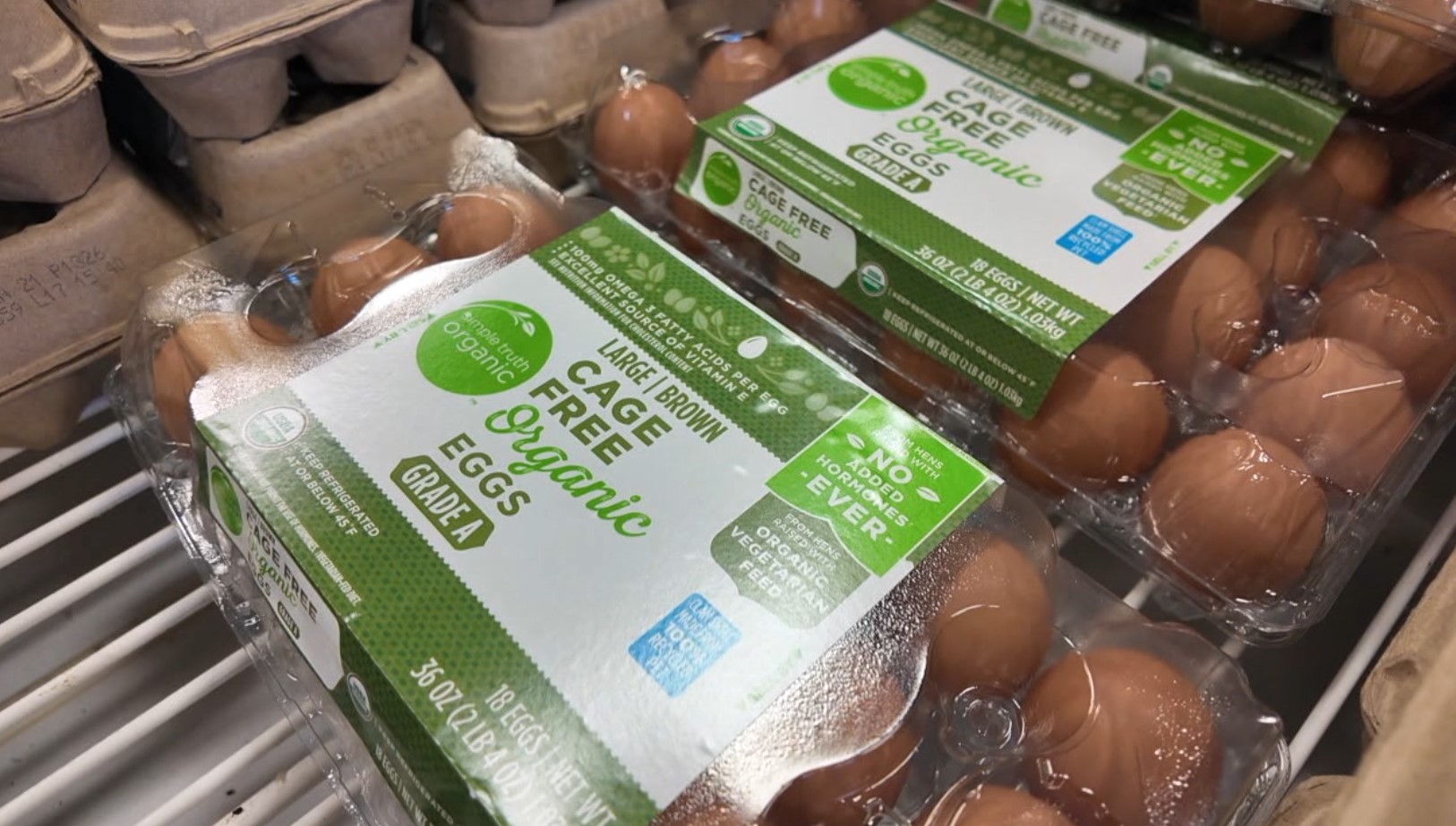 egg2.jpg