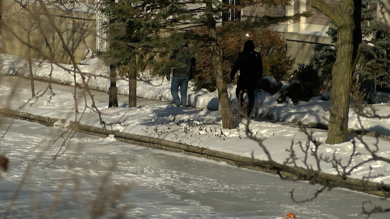 dangerous cold 6.jpg