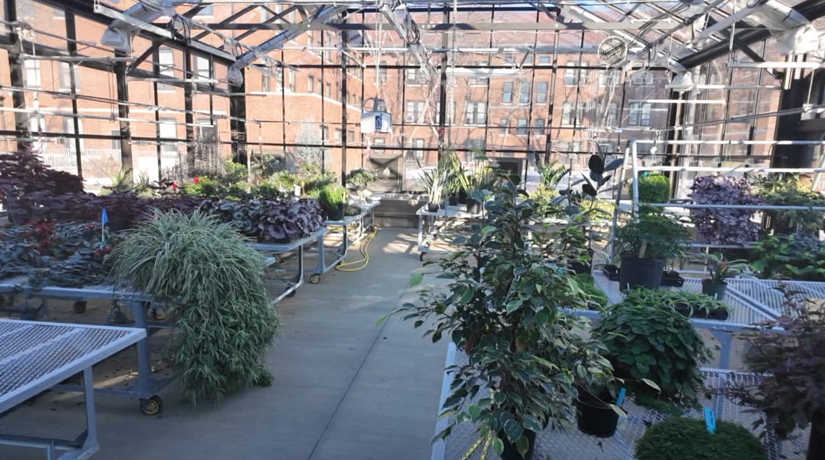 plants.jpg