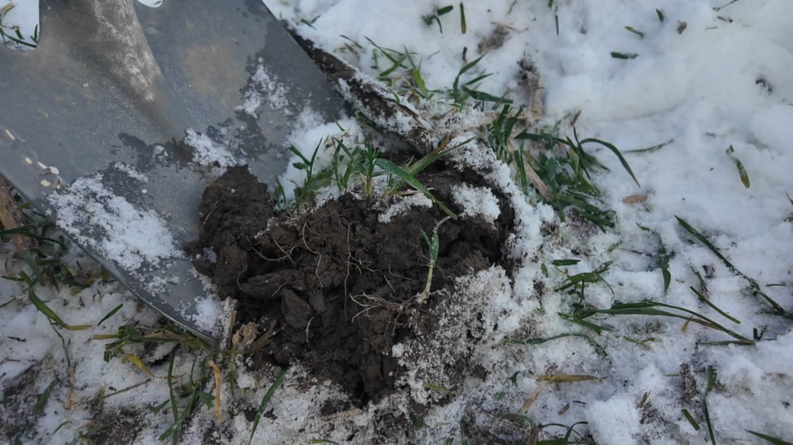 snow soil4.jpg