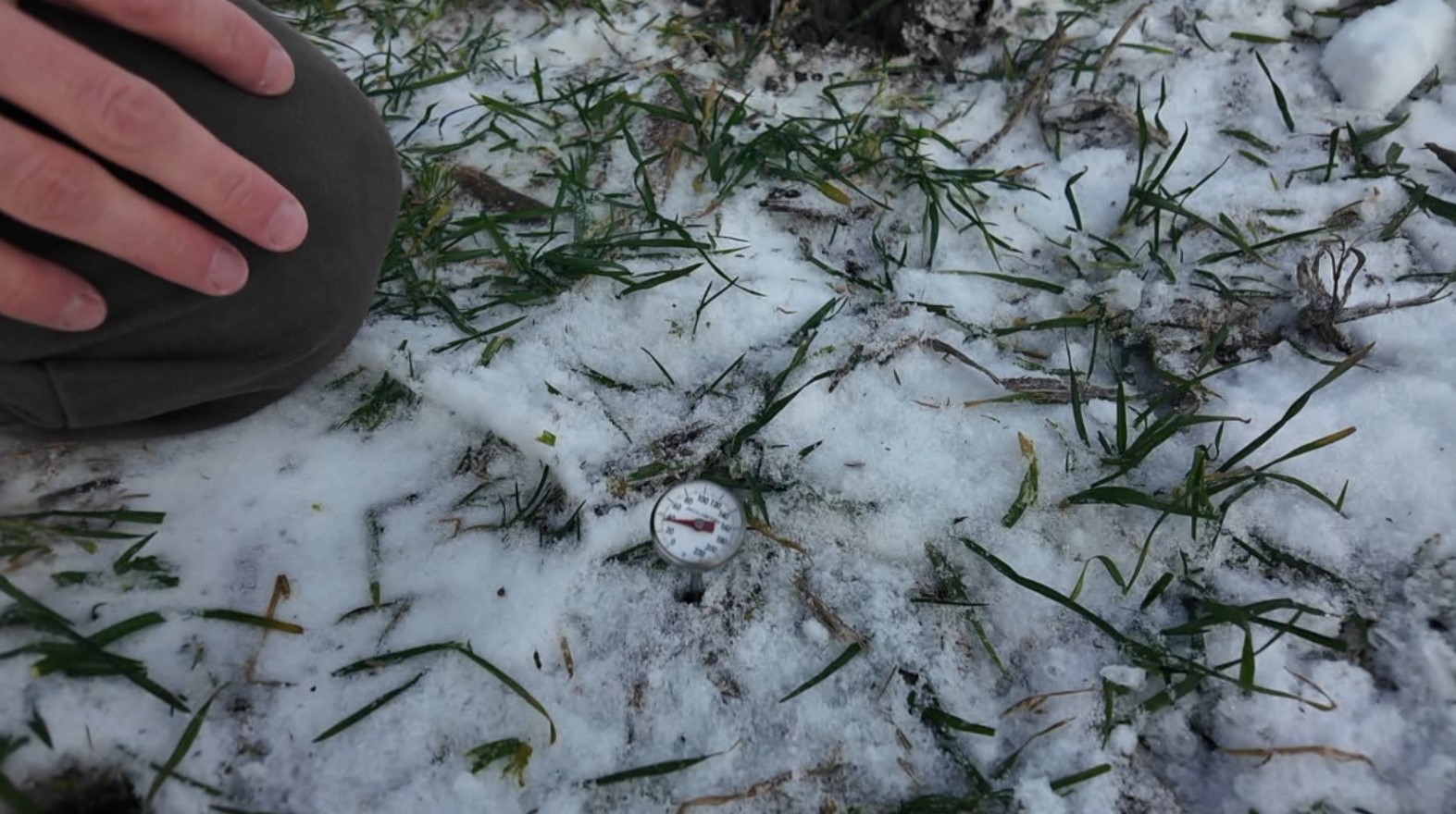 snow soil7.jpg