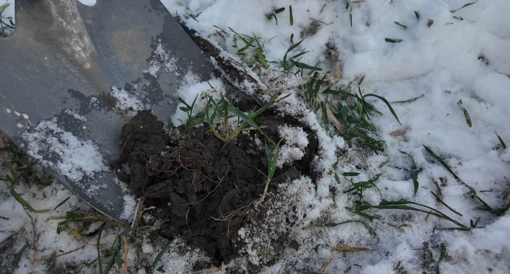 snow soil9.jpg