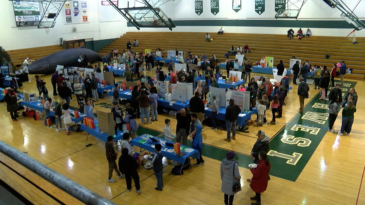 stem innovation fair 1.jpg