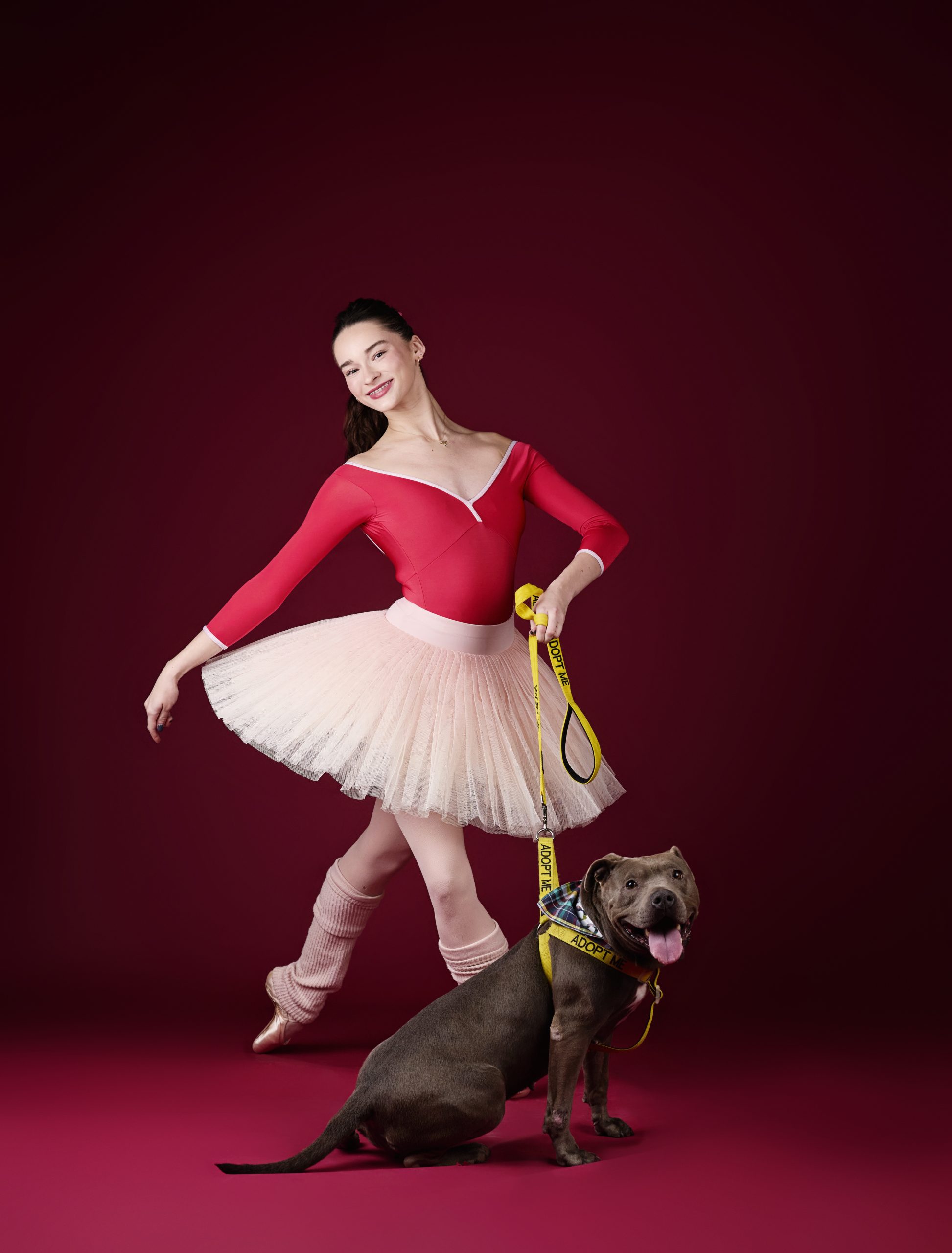 IB Dogs Dancers 252697.jpg