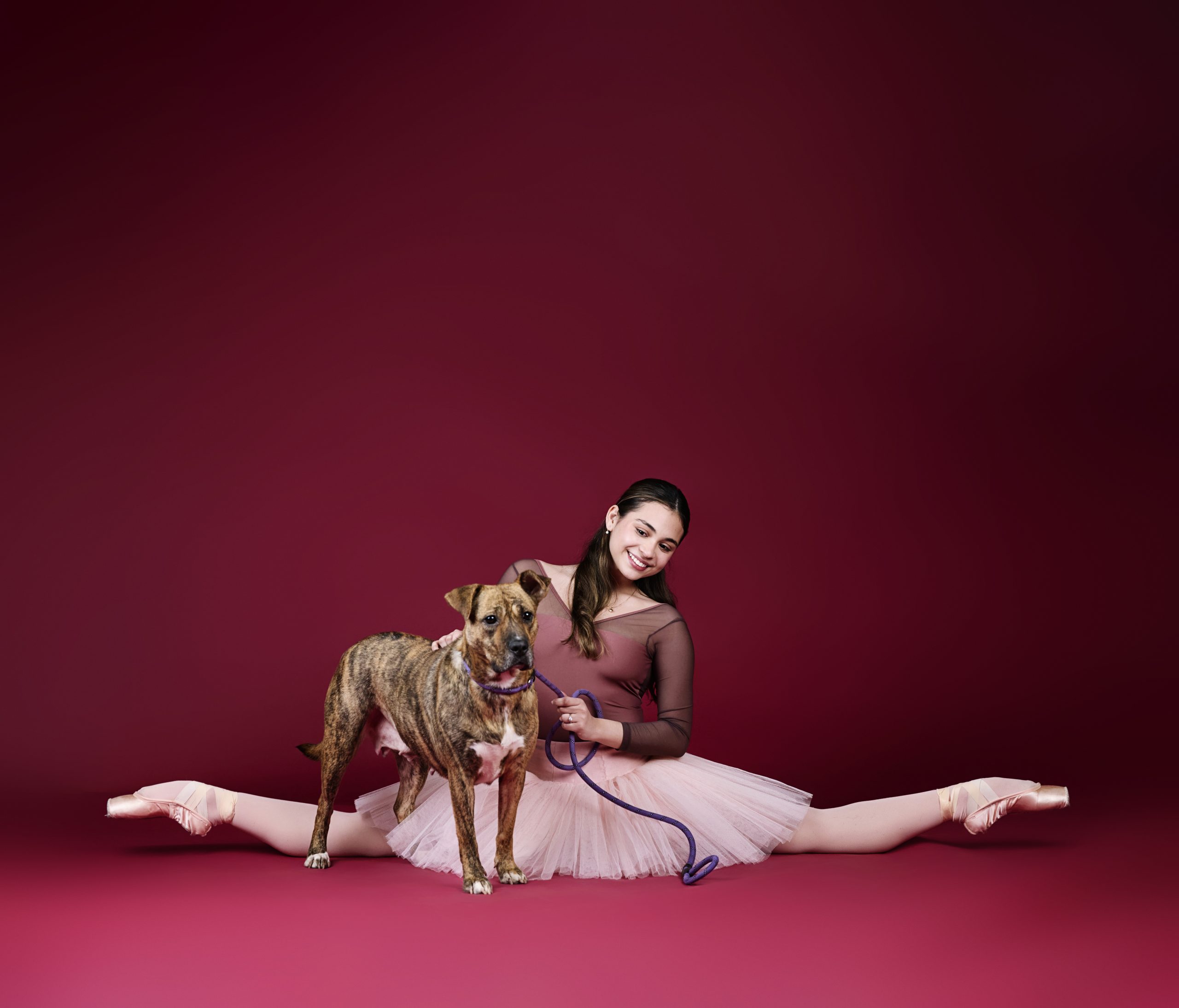 IB Dogs Dancers 252865.jpg