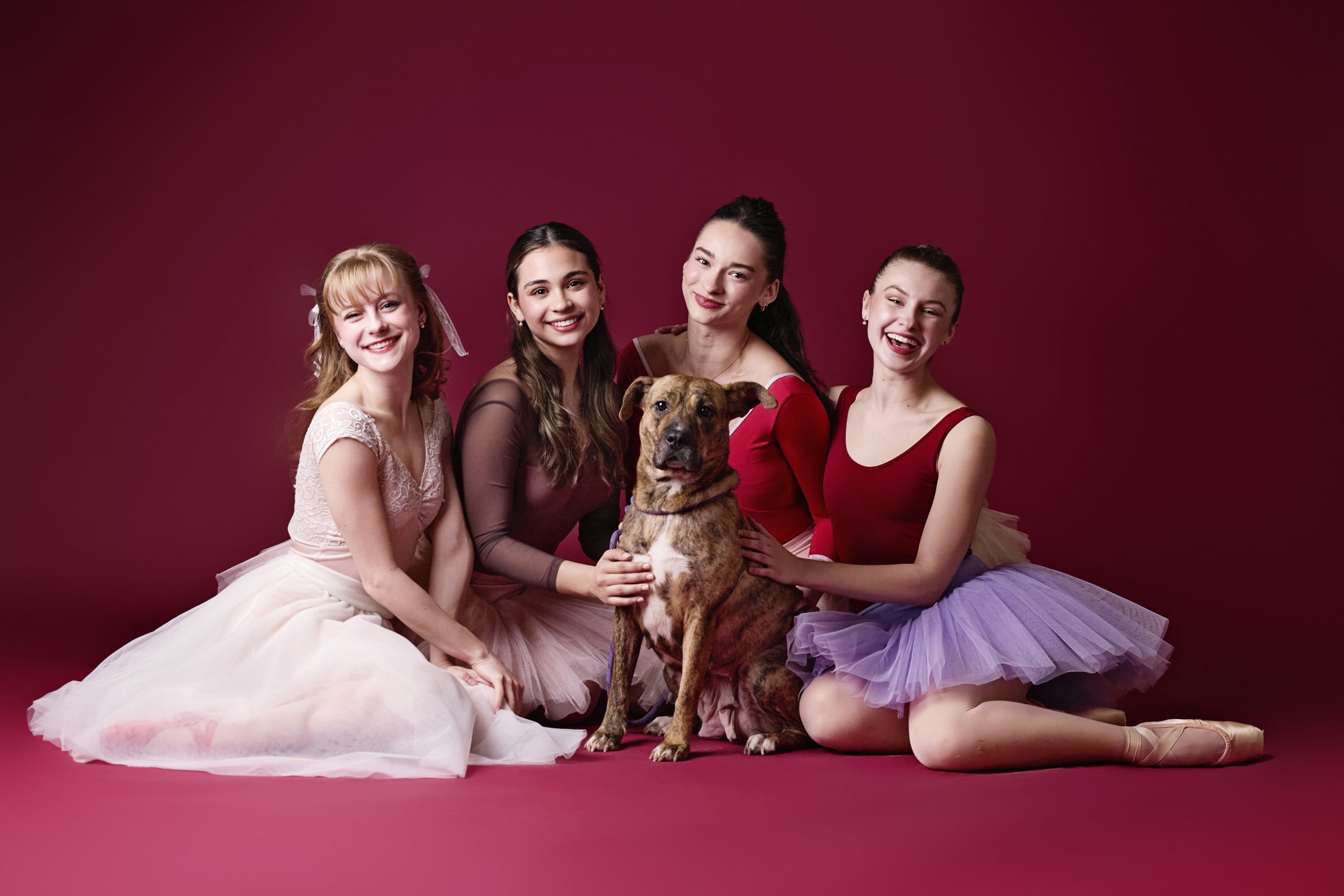 IB Dogs Dancers 252925.jpg