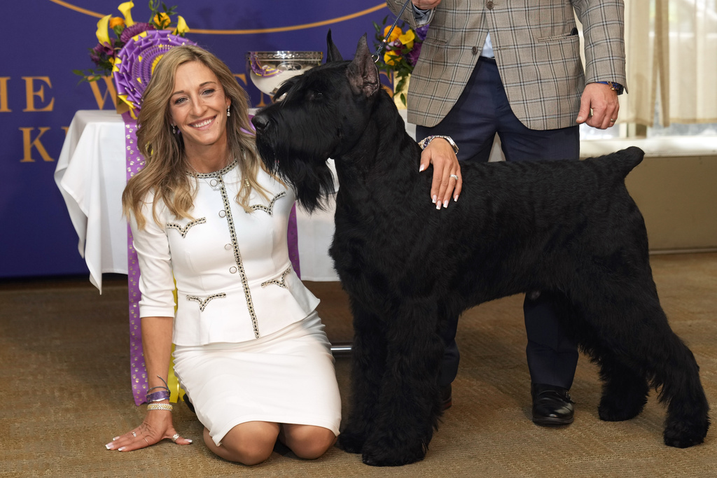 Handler and co-owner Katie Bernardin poses with Monty, a giant schnauzer.