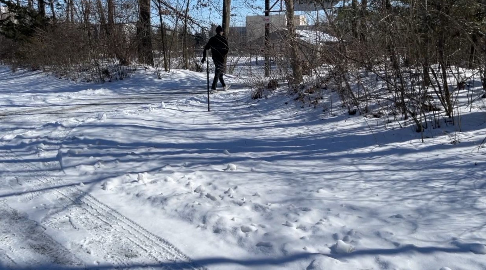 trail.jpg