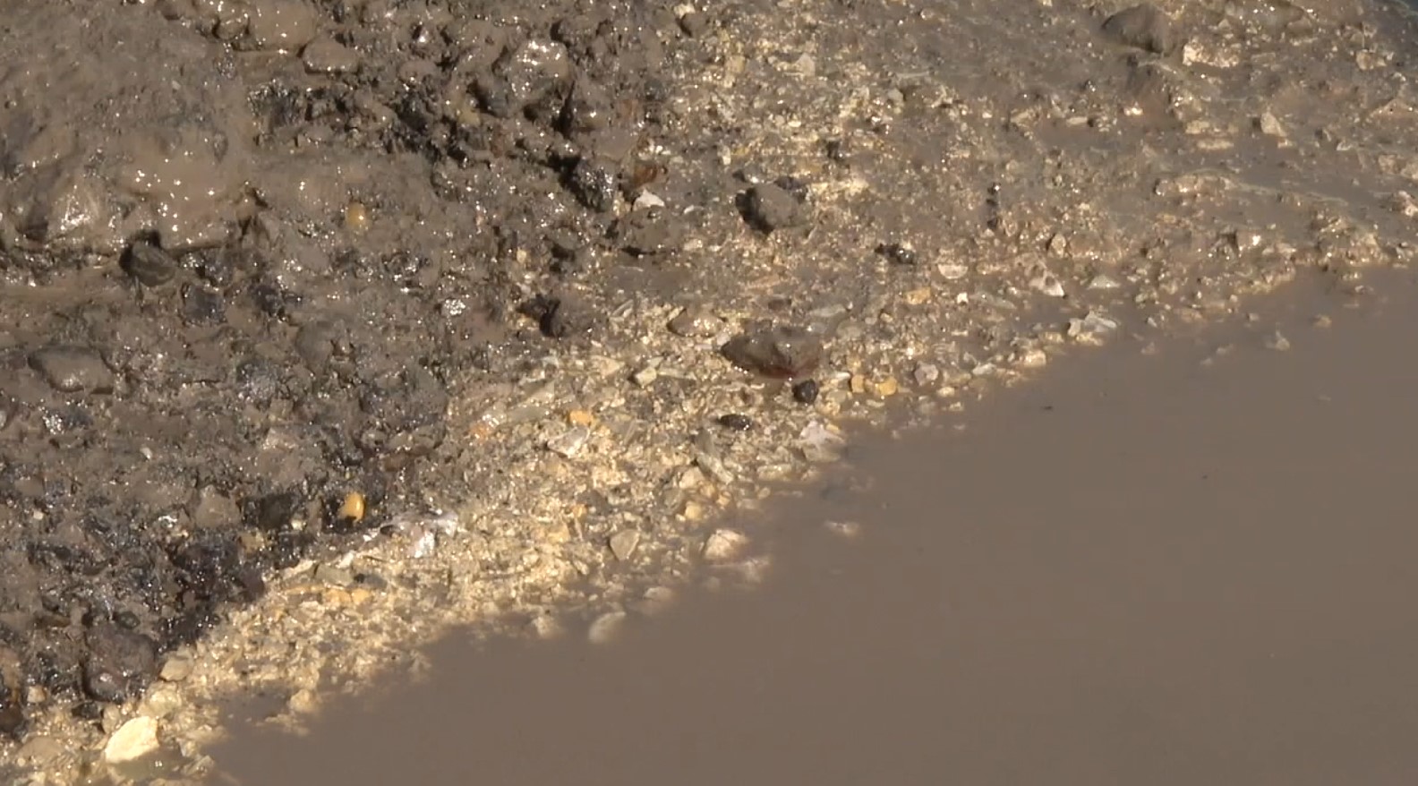 pothole9.jpg