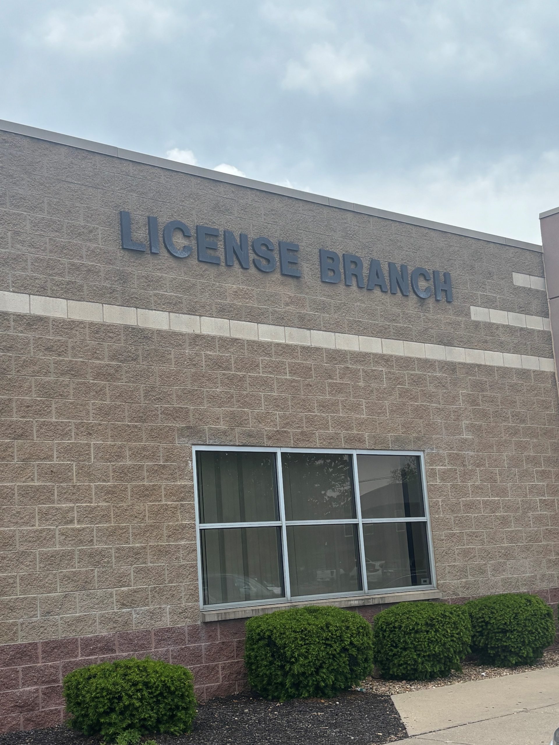 BMVbranch4.jpg