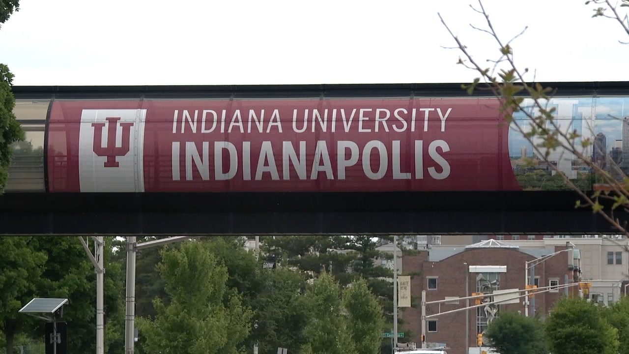 iu indy 1.jpg