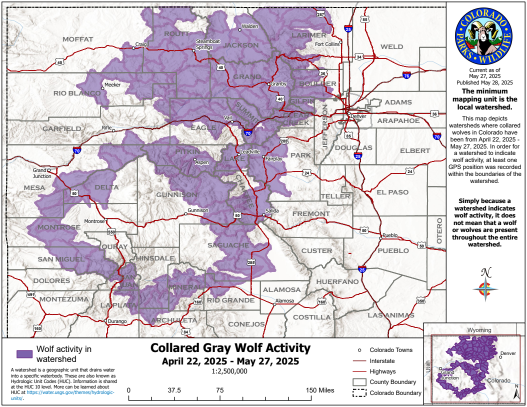 April 22 to May 27 2025 wolf movement map