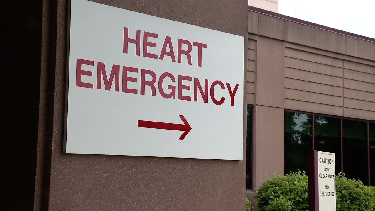 pacer heartbeat 2.jpg