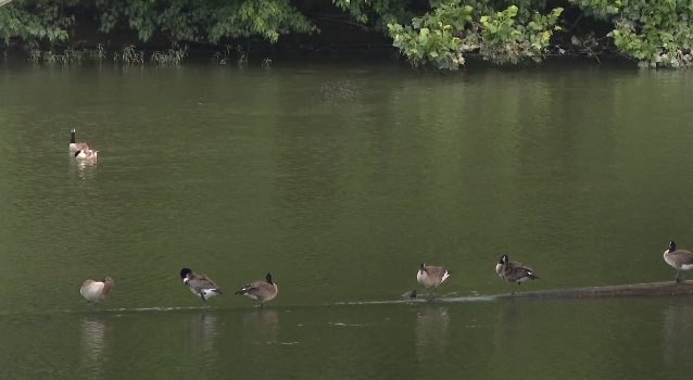 Screenshot 2025-06-30 at 5.42.33 PM.png