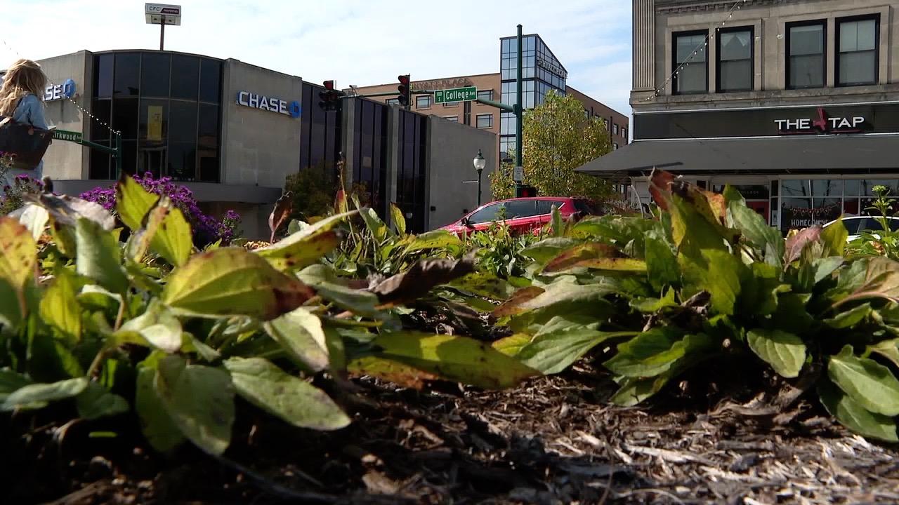 college walnut 5.jpg