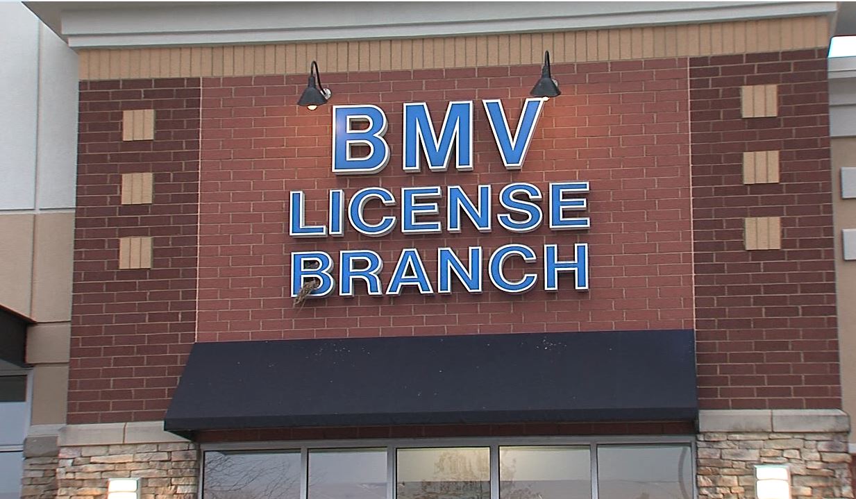 BMVBranch.JPG