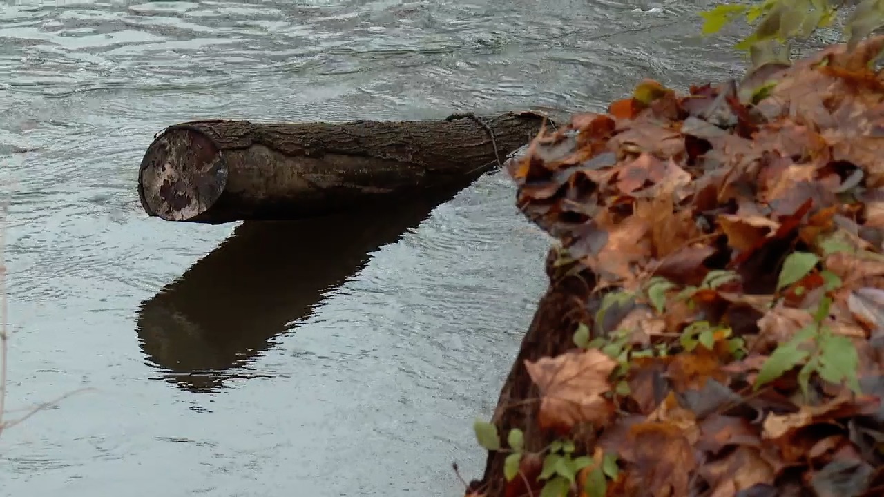 mooresville sewage 3.jpg