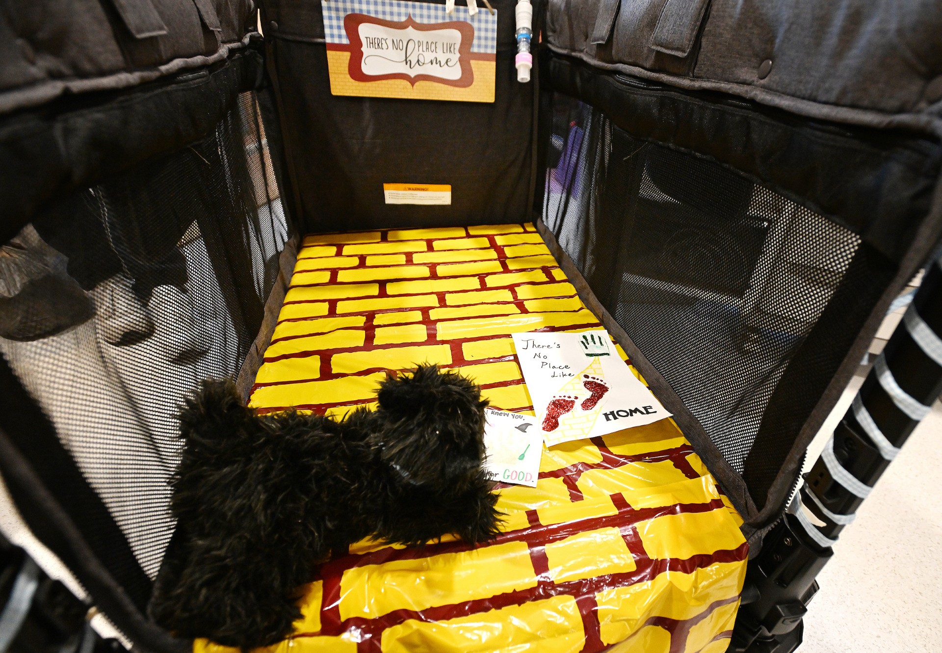 thumbnail_Byers_Rose_yellow_brick_road_01_1117_md.jpg