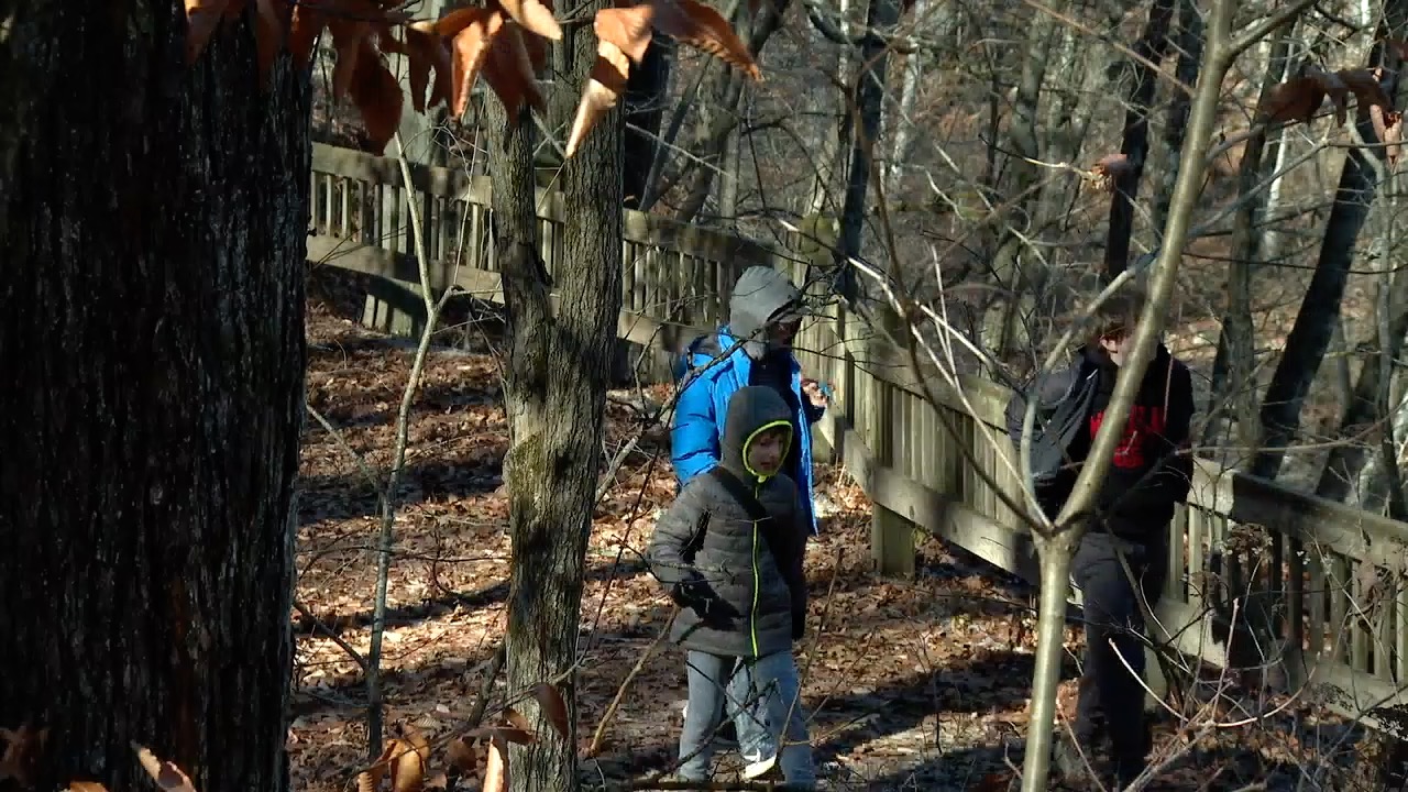mccormick creek 5.jpg