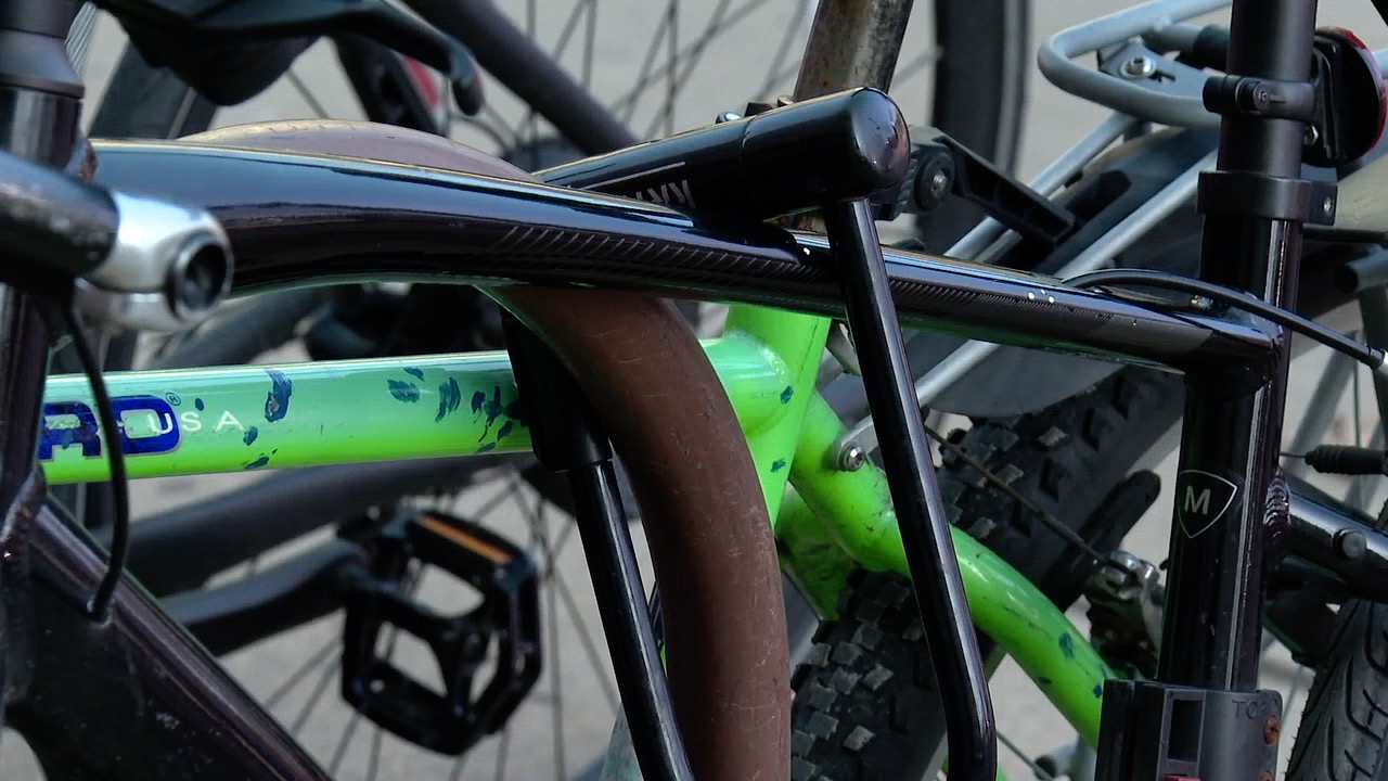 iu bait bikes 2.jpg