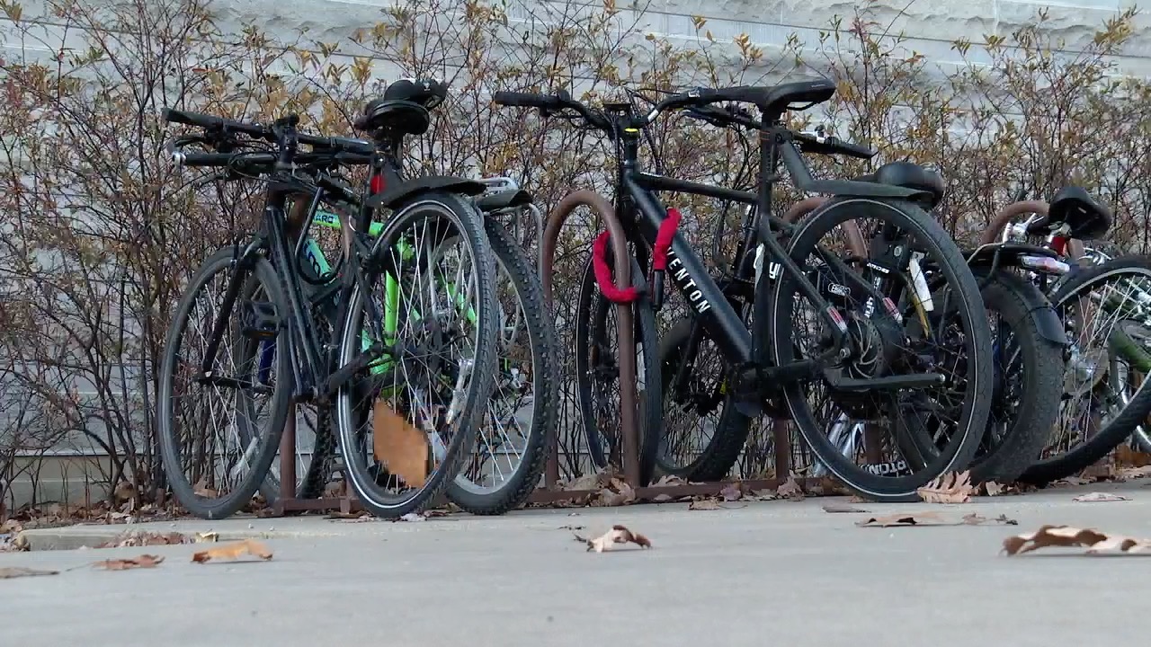 iu bait bikes 6.jpg