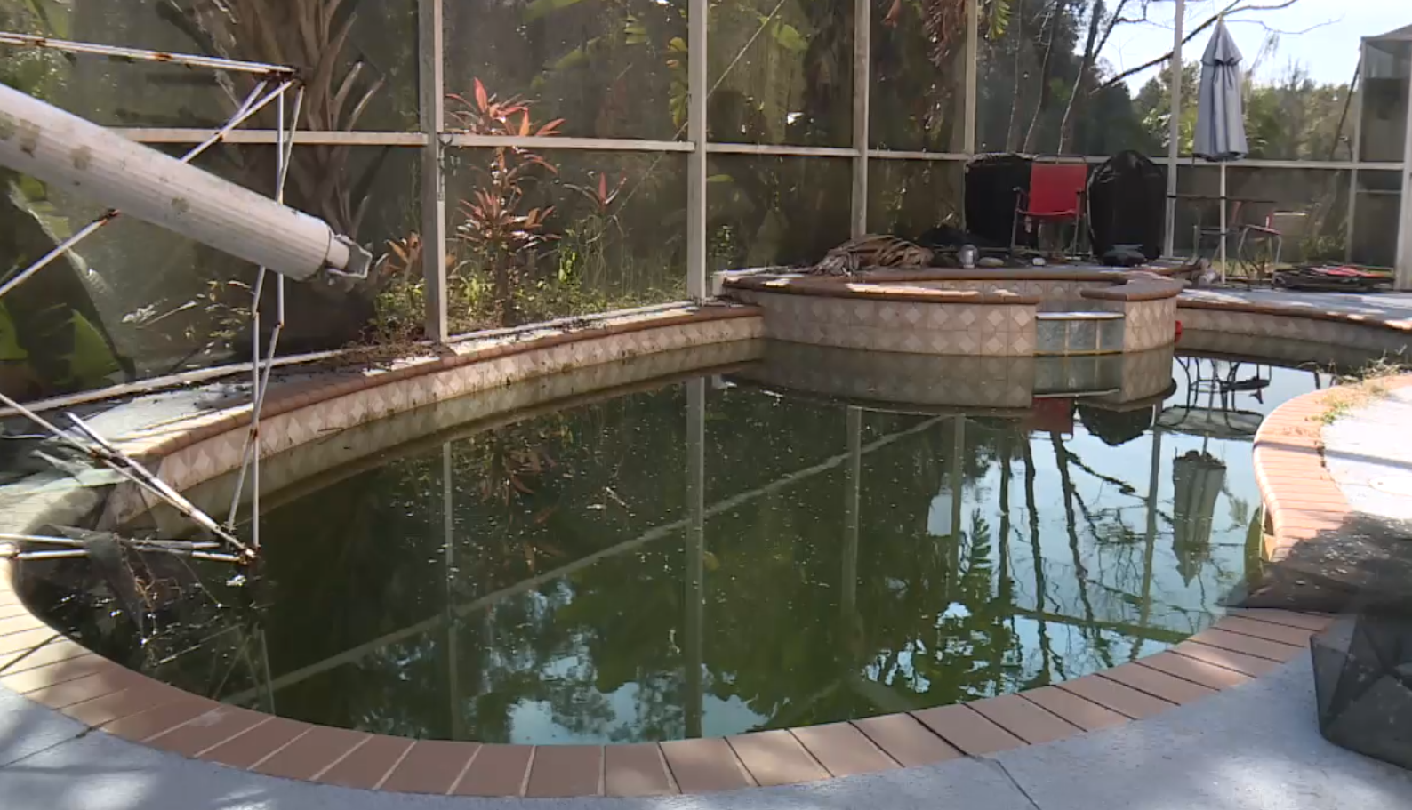 Pang's pool after her home has been abandoned for six months