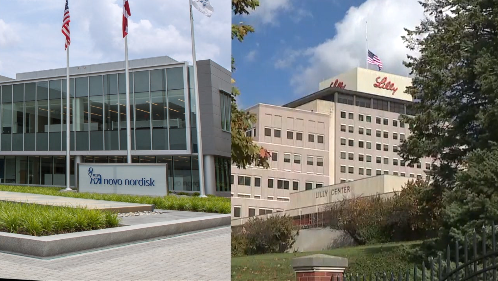 NovoNordiskEliLilly.png