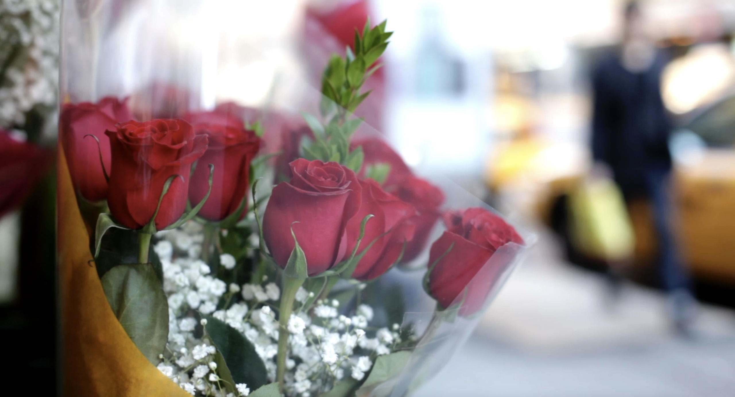 Valentine's Day shopping roses