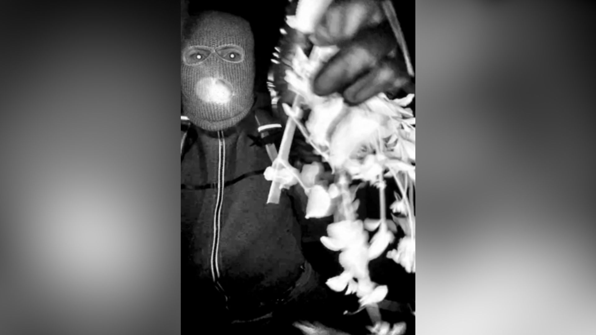 Masked individual at Nancy Guthrie's home before her disappearance.