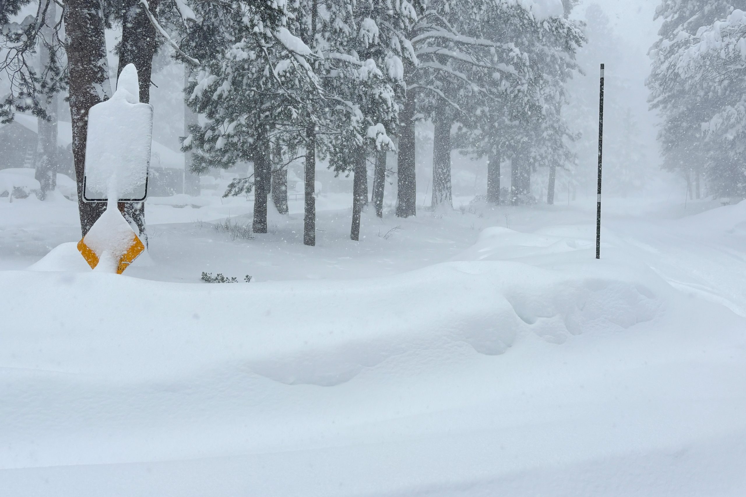 California Avalanche